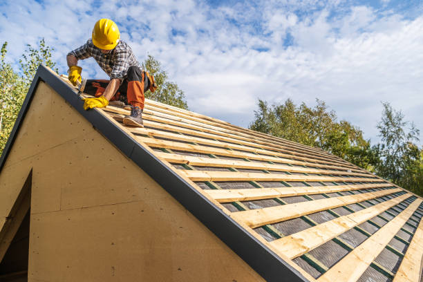 Best Roof Gutter Cleaning  in Lake Mohegan, NY